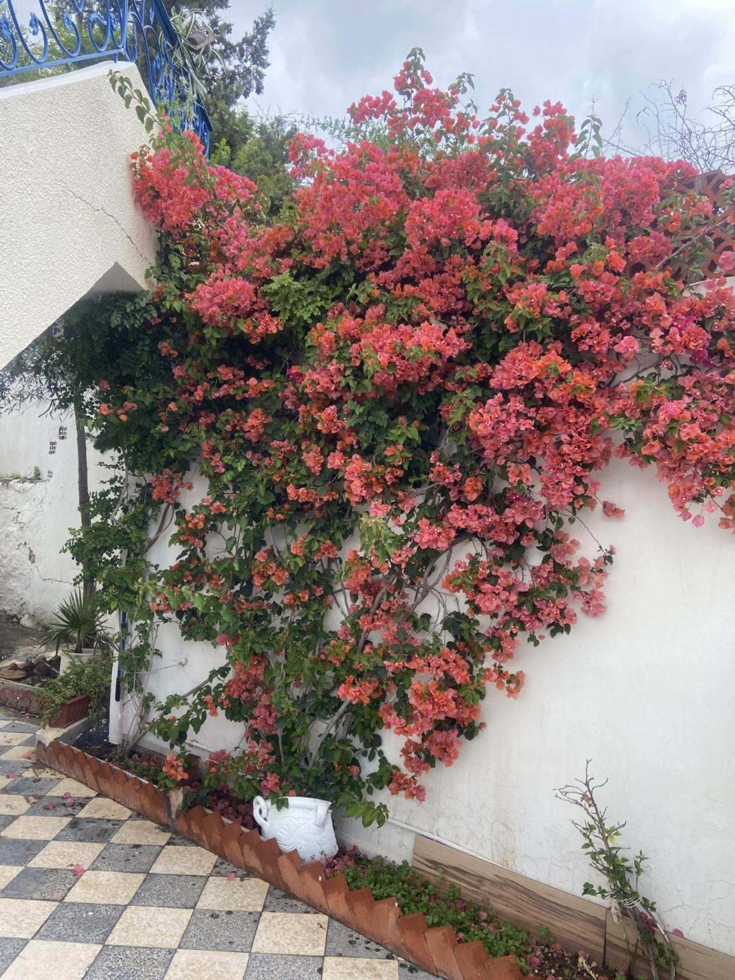 Maison A El Omrane . Tunis Zewnętrze zdjęcie